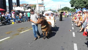 Farmácia Ribeirinha - Ribeirinha