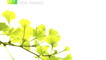Farmácia Silva Tavares - 2200-050 Abrantes