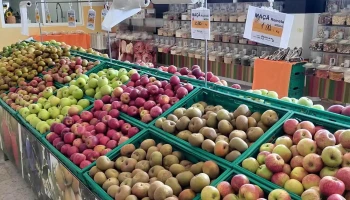 Girassol - Frutas e Legumes, Lda. - 2560-686 Torres Vedras