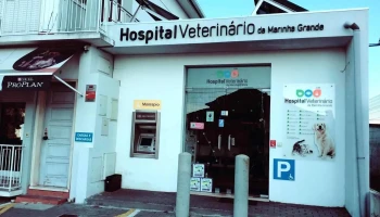 Hvmg - Hospital Veterinário da Marinha Grande - 2430-291 Marinha Grande