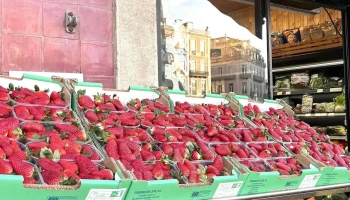 Mercado D' Santos - 1200-267 Lisboa