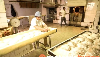 Pão Caseiro Forno a Lenha - 2640-064 Santo Isidoro