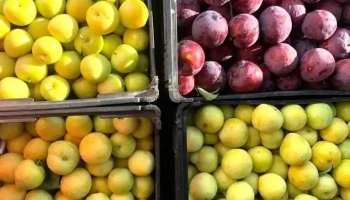 Super Irmãos Jeta - Mini Mercado, Lda. - 2695-736 São João Da Talha