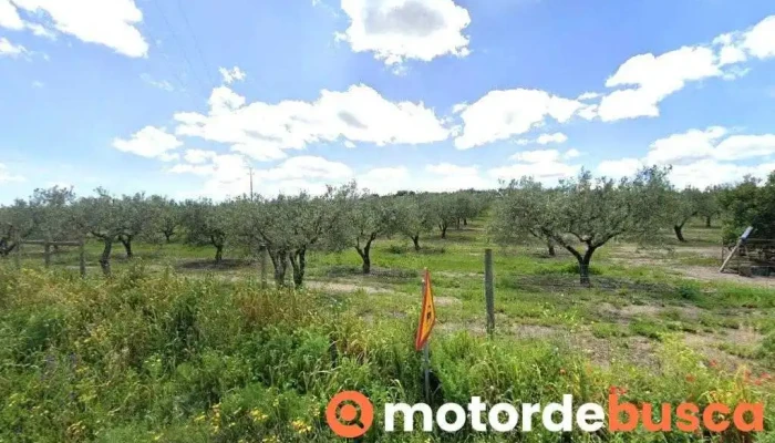 Armina-Abastecedora De Mercearias Do Alentejo, Lda. - Pias