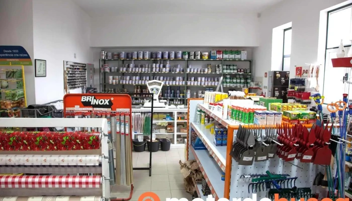 Bazar Carlos Lopes Filhos Lda   O Costa Tudo - Albergaria-a-velha