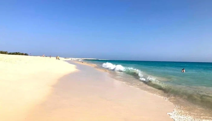 Boavista dos Pinheiros - Portugal