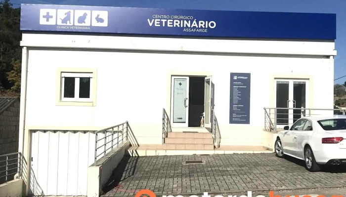 Centro Cirúrgico Veterinário Assafarge - Coimbra - 3040-657 Assafarge
