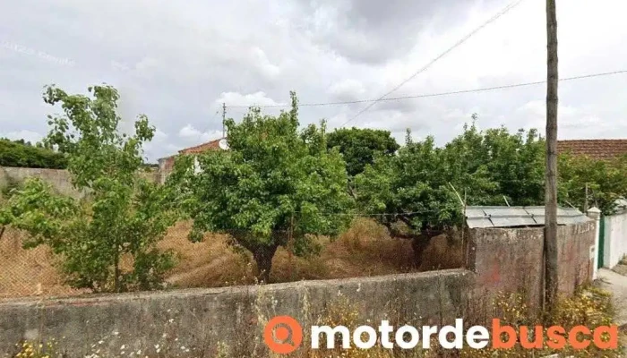 Crisnovo,lda armazem - Portugal