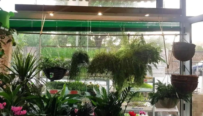 Farmácia Agrícola de Anadia - Anadia