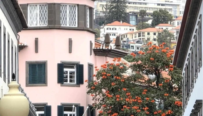 Farmacia Avenida Mais Recentes - Funchal