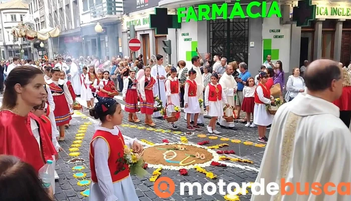 Farmacia Botica Inglesa -  Videos - Funchal