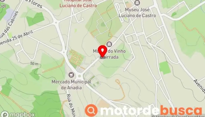 Farmacia Central De Anadia Mapa - Anadia