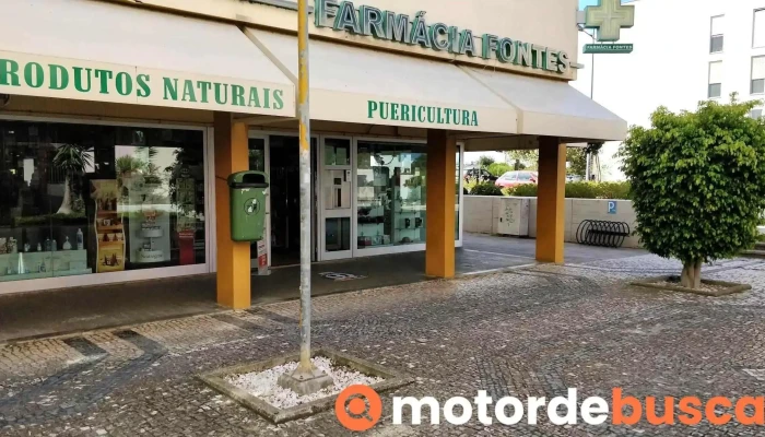 Farmácia Fontes Sociedade Unipessoal Lda - Passeio Das Barcas 1 R/c Direito
