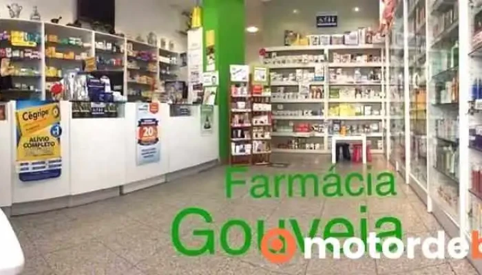 Farmacia Gouveia Do Proprietario - Lisboa