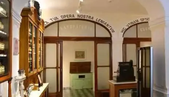 Farmácia Monte - Vila Viçosa