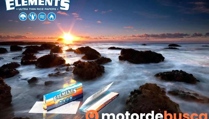 Gatistore Tudo - Ponta Delgada