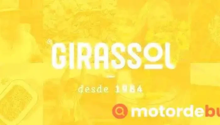Girassol -  Tudo - Aveiro