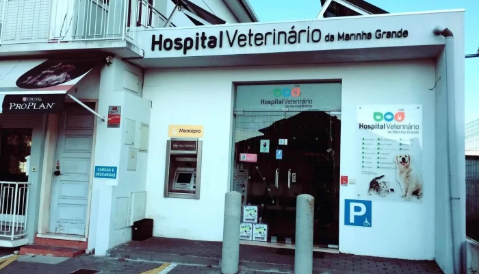 Hvmg - Hospital Veterinário da Marinha Grande - 2430-291 Marinha Grande
