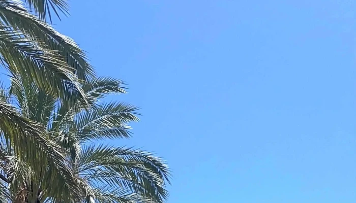 Lagoas Park -  Fotos - Porto Salvo