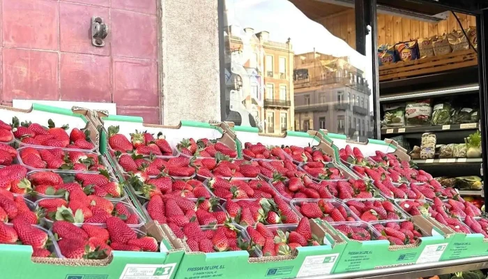 Mercado D' Santos - 1200-267 Lisboa