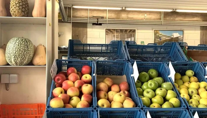 Mercado Jardim - Junta de Freguesia de Alvalade - R. Antero De Figueiredo 12