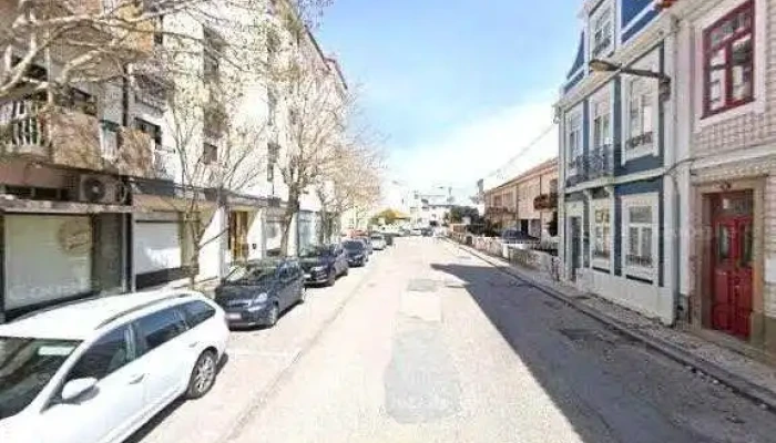 Palmeira Viva -    Lda Tudo - Aveiro