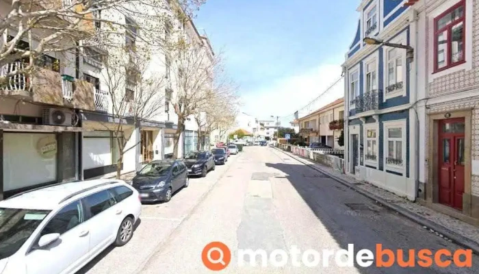 Palmeira Viva -, Lda. - Aveiro