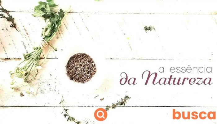 Ser Essencial Aromaterapia -  Tudo - Aveiro